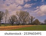 A rural landscape featuring a row of leafless trees under a cloudy sky, with fields of grass and plowed soil in the foreground.