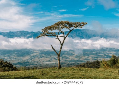 Rural landscape with fog and blue sky. Antioquia, Colombia.