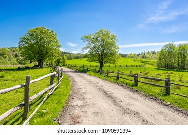 Rural landscape, grass field under blue sky in countryside scenery with country road - Shutterstock ID 1090591394