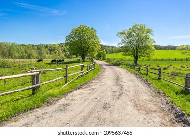 Rural landscape, grass field under blue sky in countryside scenery with country road - Shutterstock ID 1095637466