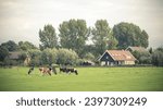 Rural landscape with green meadows, houses, and grazing livestock. Rural landscape with a green meadow, cattle, and a farmhouse. Rural ranch with livestock, animals grazing on green pasture in meadow.