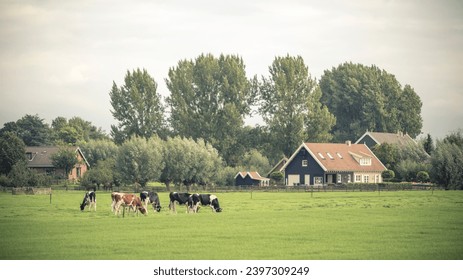 Rural landscape with green meadows, houses, and grazing livestock. Rural landscape with a green meadow, cattle, and a farmhouse. Rural ranch with livestock, animals grazing on green pasture in meadow.