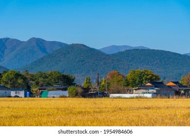 Rural Landscape Of Gyeongsangbukdo Province In Republic Of Korea