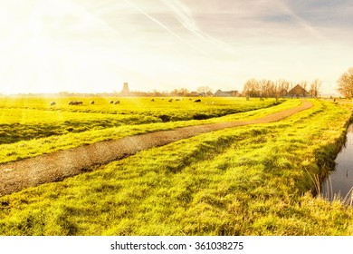 Rural Landscape In Holland