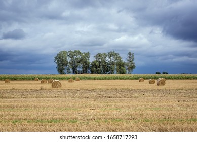 Rural Landscape Of Mazowsze Region Of Poland