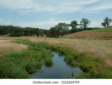 Rural Landscape: Meadow With Oak Savanna And Creek