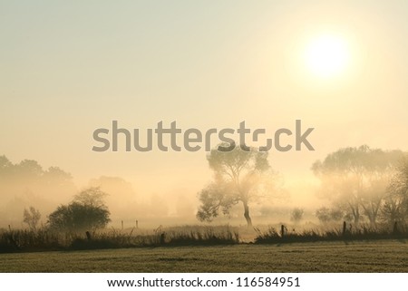 Rural landscape in a misty October morning.