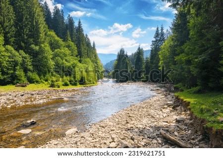 rural landscape with mountain river. drought in summer. ecology disaster