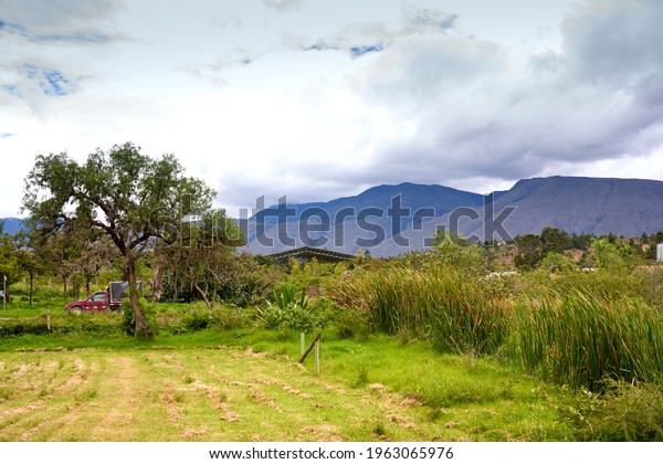        Rural landscape in a mountainous area\
in Colombia                      \
