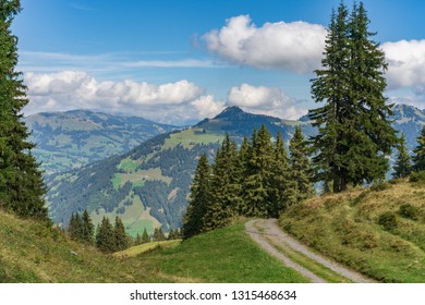 Rural Landscape Near Gstaad, Summer View From The Wispile