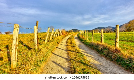 Rural Landscape Near Nava Village, Asturias, Spain