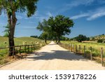 Rural landscape near Velletri, Rome, Lazio, Italy, at summer