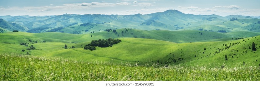 Rural landscape. Picturesque hills and valley, panoramic mountain view. Summer blooming meadow. - Shutterstock ID 2145990801