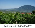 Rural landscape in Sannio, Benevento province, Italy, at summer