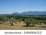 Rural landscape in Sannio, near Cerreto Sannita, in Benevento province, Campania, Italy, at summer