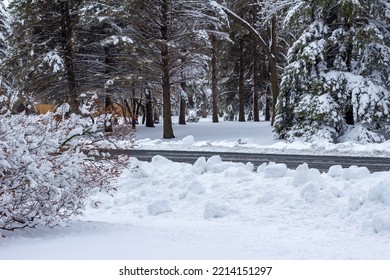 Rural landscape scene of a plowed road through deep snow following a blizzard, with a beautiful view of snow covered trees and bushes - Powered by Shutterstock