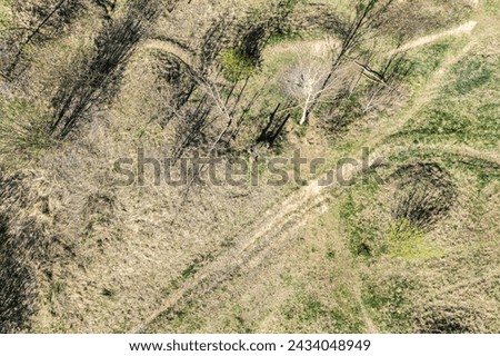 rural landscape with shadow trees silhouettes on ground. sunny spring day. aerial photo.