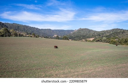 Rural Landscape In Southern Brazil.