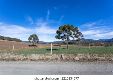 Rural Landscape In Southern Brazil.