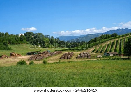 Image, Stock Photo Rural landscape near Terranuova Bracciolini Tuscany