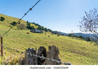 Rural Landscape Through Defocussed Barbed Wire Fence In Queensland, Australia.