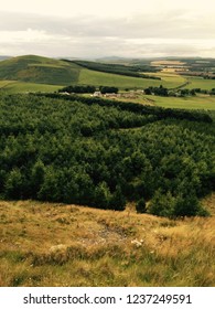 Rural Landscape View