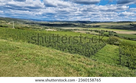 Rural landscape with vineyards, hills and villages, at Mures county, Transylvania, Romania.