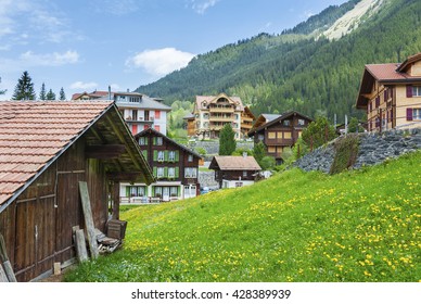 Rural Landscape Of Wengen, Swiss