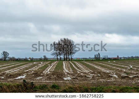 Rural landscape in West Flanders, Belgium near Beveringe and Stavele
 Stock photo © 