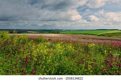 Rural landscape with wild flowers in bloom and view of ploughed fields and crops under cloudy sky in the heart of the Wolds in spring - Shutterstock ID 2058134822