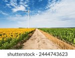 Rural landscape with wind turbines and country road among sunflower and corn fields in Bulgaria