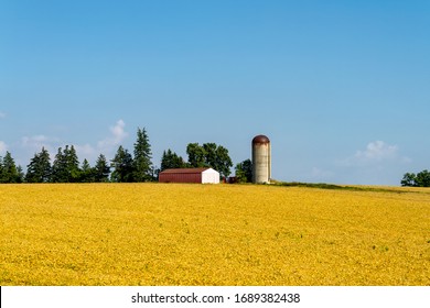 Rural Lanscape With Red Barn In Rural Ontario, Canada.