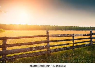 Rural nature at sunset. Beautiful summer landscape with field and forest