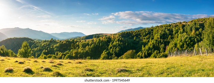 rural panorama in mountains at sunset. trees and fields on grassy rolling hills. beautiful countryside scenery of transcarpathia region, ukraine, in evening light. wonderful sunny weather in autumn - Powered by Shutterstock