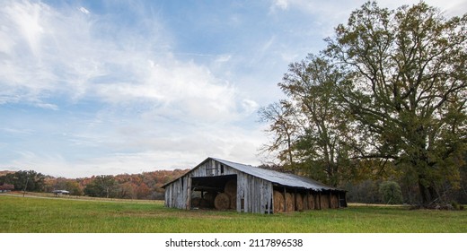 Rural Panorama Of A Weathered Barn And Large Oak Tree In Early Autumn In Appalachia.