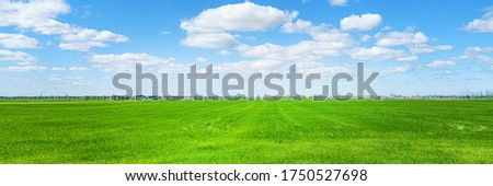 Rural panoramic landscape. Bright green field and city on the horizon at sunny day wide angle view.