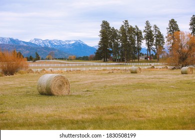 Rural Pasture Landscape With Haystacks, Montana