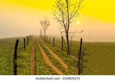 Rural path in the early foggy morning. Early morning fog on countryside at dawn. Beautiful sunrise fog in the morning. Foggy country path at dawn