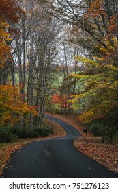 Rural Road In Albemarle County, Virginia In Fall