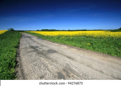 Rural road between fields