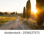 Rural road with cypress trees at sunset in Tuscany, Italy. Yellow light of rising sun going through tree branches.