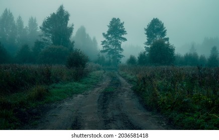 Rural Road In The Fog Before Dawn In The Forest. Scary Atmosphere Of Halloween And Sleepy Hollow