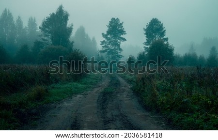 Rural road in the fog before dawn in the forest. Scary atmosphere of Halloween and sleepy hollow