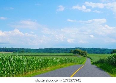 Rural Road In Lancaster County, Pennsylvania