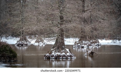 Rural Road And Landscapes In Mississippi