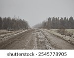 Rural road with mud and snow against the backdrop of a forest and a gray sky in winter