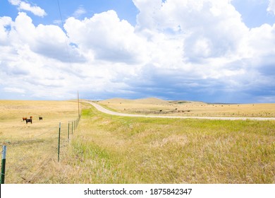 200 Northeastern mexico Images, Stock Photos & Vectors | Shutterstock