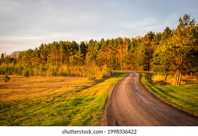 Rural Road On An Autumn Day. Autumn Road Through A Rural Field Landscape