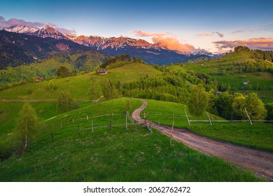 Rural road on the green hills and spectacular snowy mountains in background at sunset, Bucegi mountains, Carpathians, Romania, Europe
