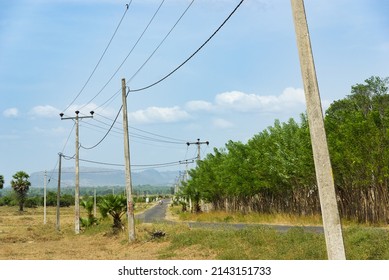 Rural road with powerlines, eastern Sri Lanka